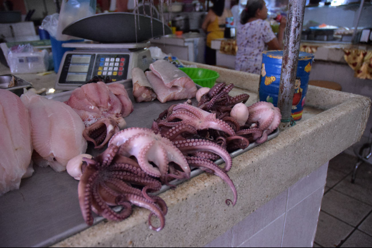 El precio del pulpo aumentó de 120 a 180 pesos el kilogramo, un 33 por ciento