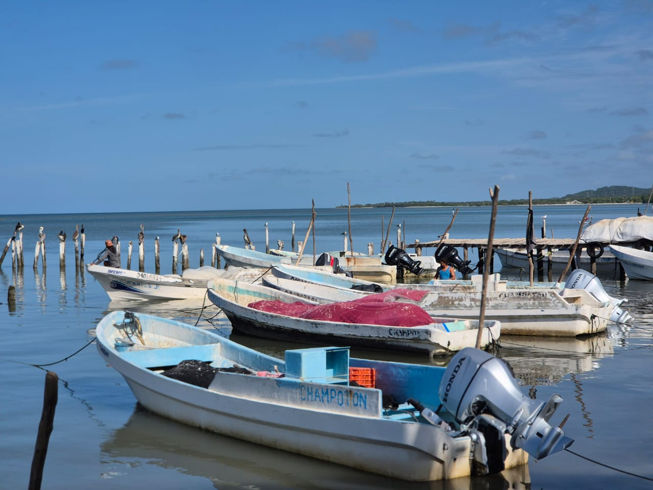 Algunos hombres de mar advierten que el oficio está a punto de desaparecer ante la depredación