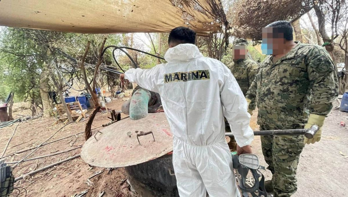 Sheinbaum Pardo cuestiona reportaje de The New York Times sobre laboratorios de fentanilo del Cártel de Sinaloa