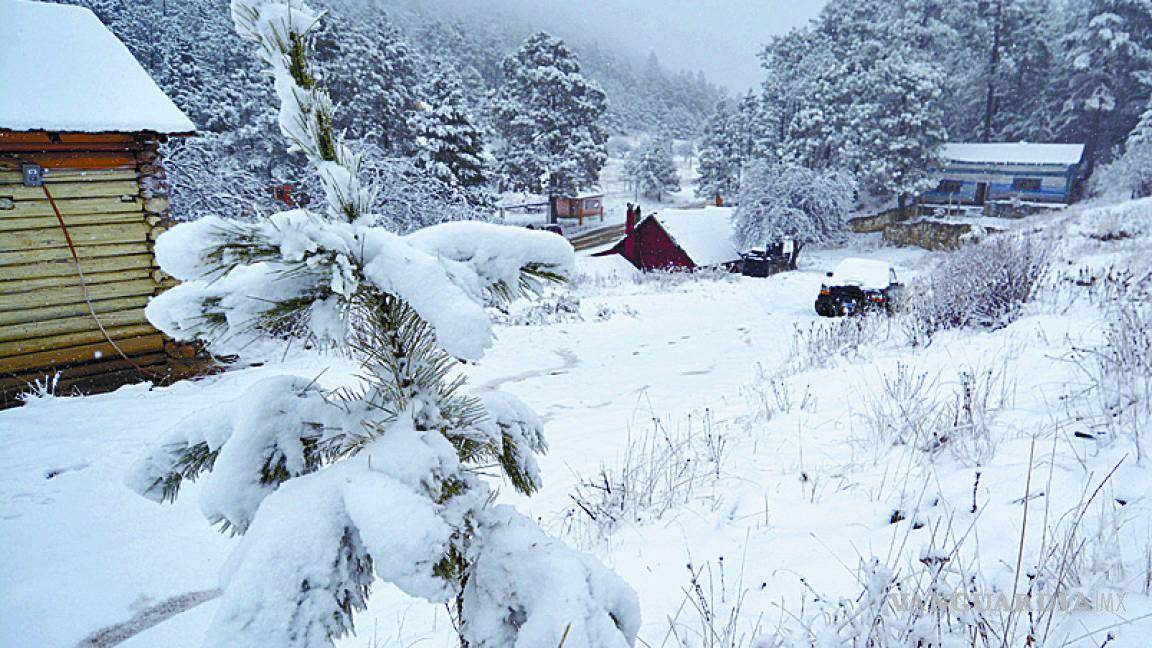 Estos destinos permiten a los visitantes vivir una experiencia invernal