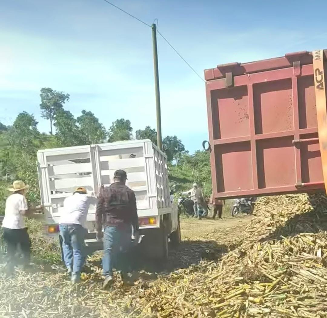 Vuelca camión con más de 25 toneladas de caña en Champotón    