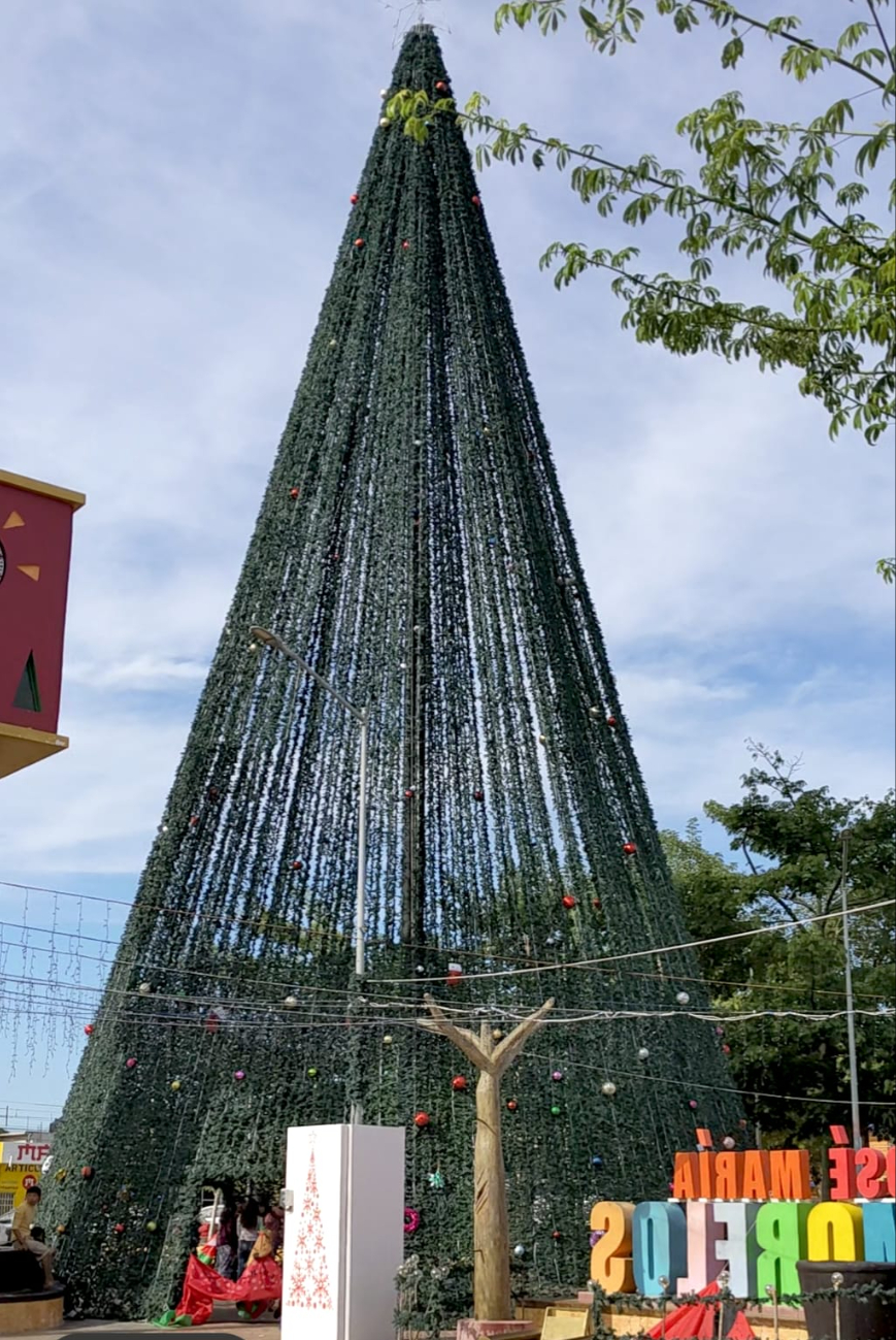 Árbol navideño del parque central se vuelve una atracción en José María Morelos