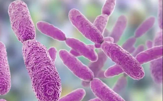 Brote de Klebsiella oxytoca en Edomex arrebata la vida a 13 menores de edad