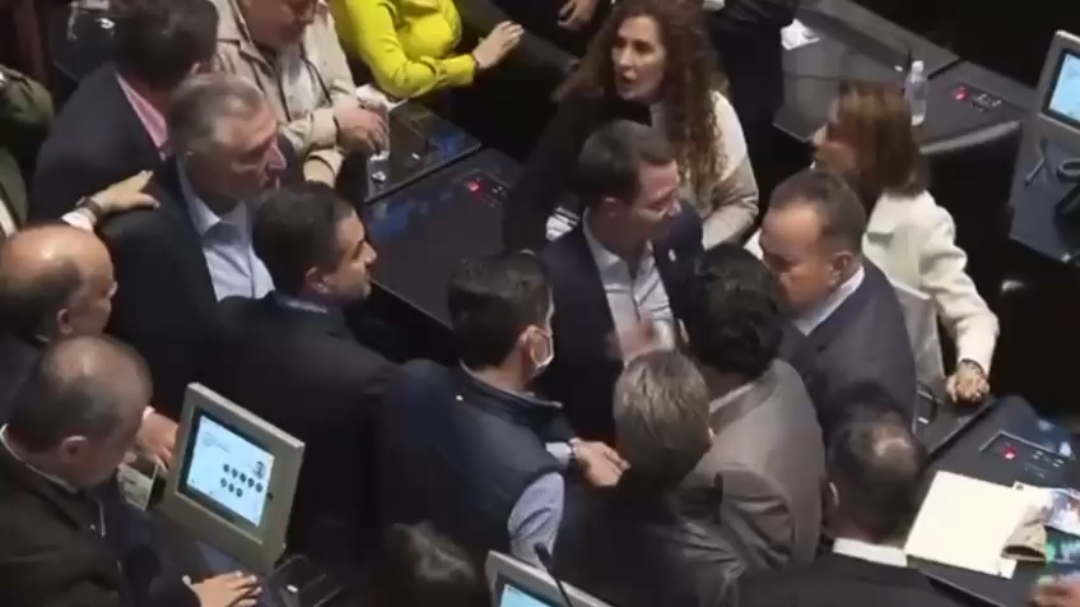 Riña en Cámara de Senadores casi llega a golpes.