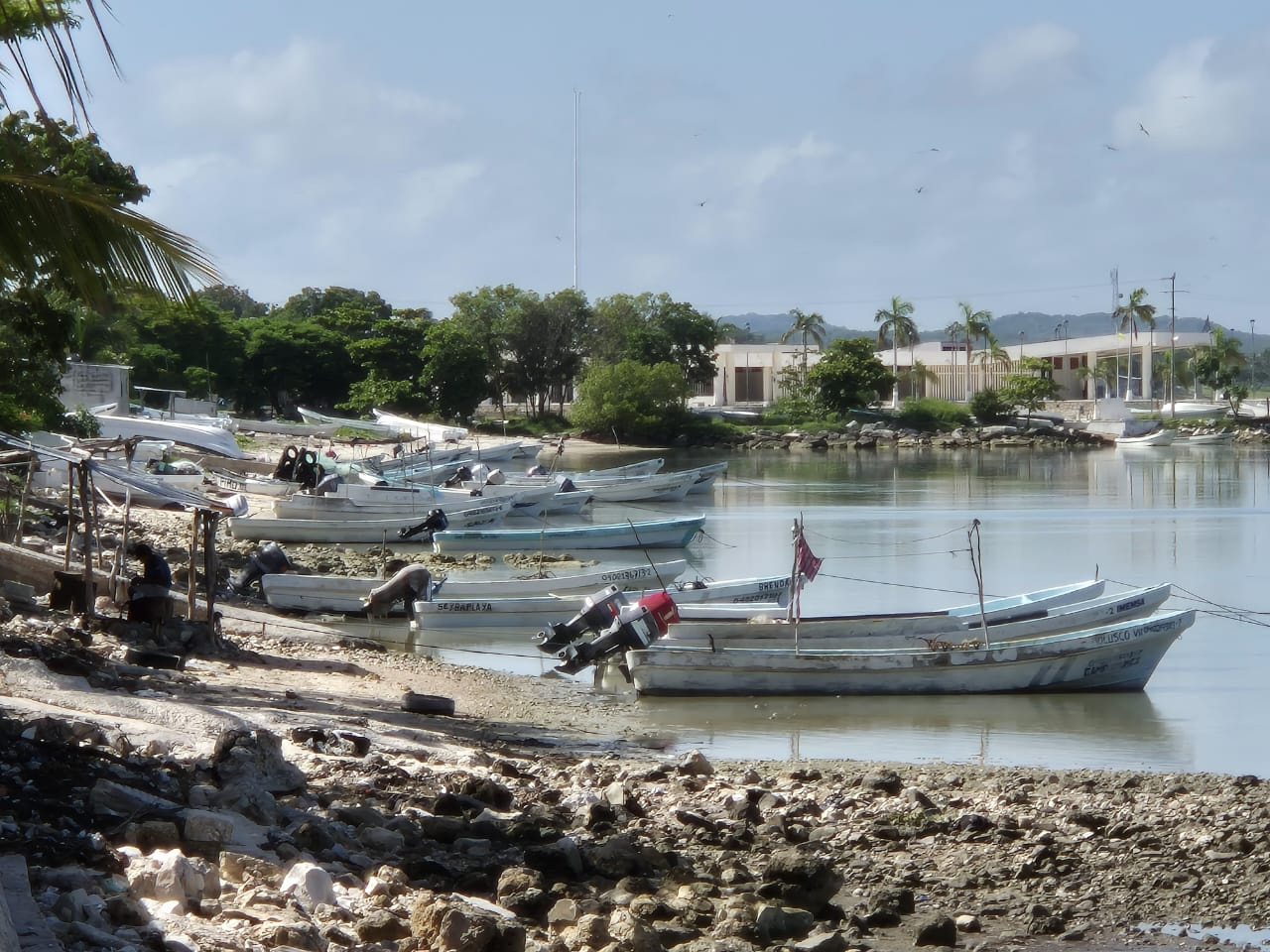 Los pescadores estaban trabajando en la "lisera" cuando fueron atacados