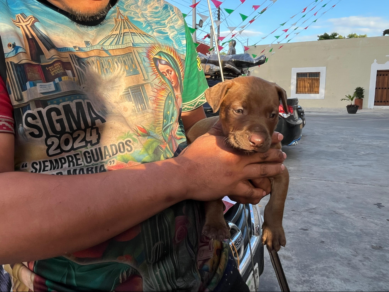 Peregrinos arriban a la parroquia de Nuestra Señora de Guadalupe en Mérida con el “Perrito Guadalupano”