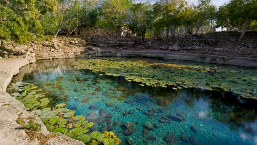 En el cenote Xlacah de Dzibilchaltún, se encontraron nuevas piezas de la cultura maya durante una exploración