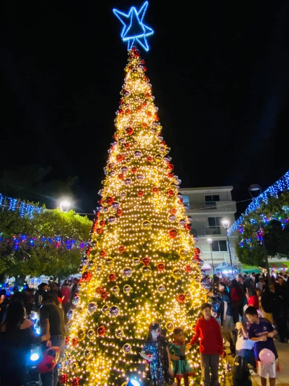 El desfile concluyó en el Parque Miguel Hidalgo y Costilla con el encendido del Árbol de N