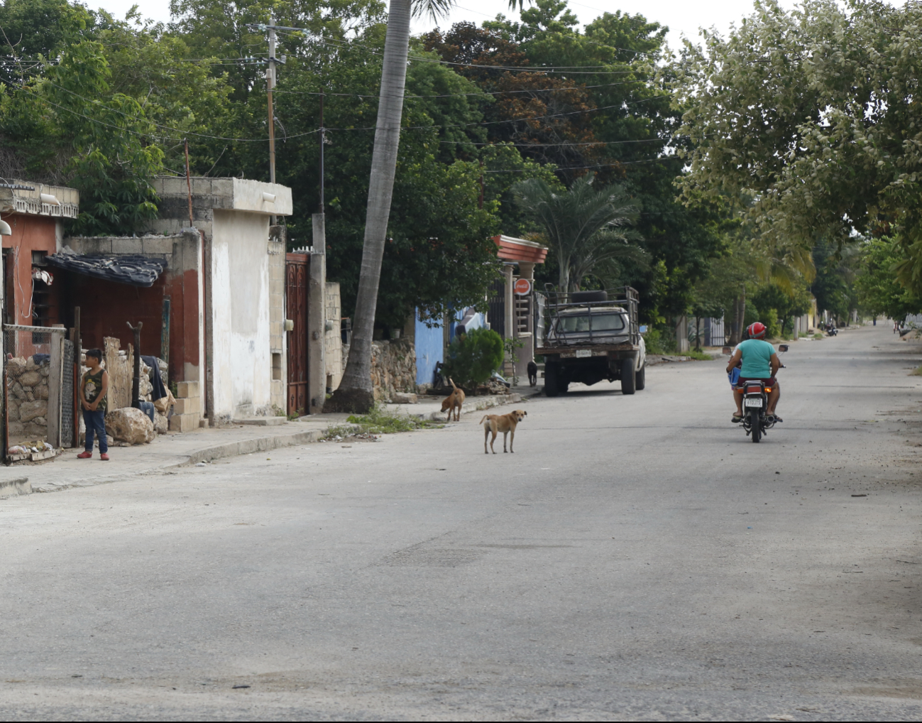 Un investigador de la UNAM declaró sobre la contaminación del suelo en Yucatán