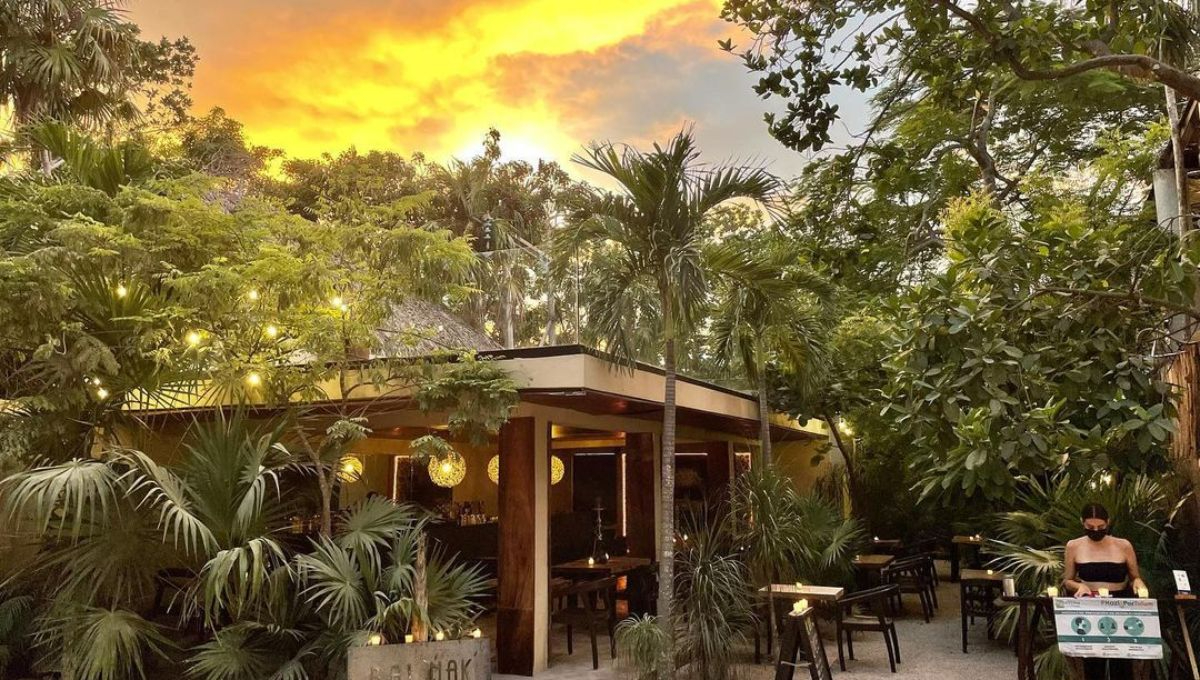 Estos son los mejores restaurantes en Tulum, Quintana Roo, según Trip Advisor