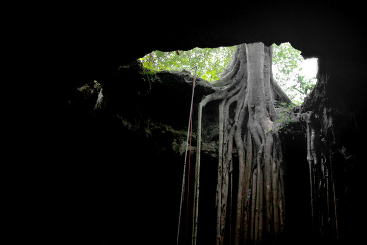 Cenotes del Estado de Yucatán