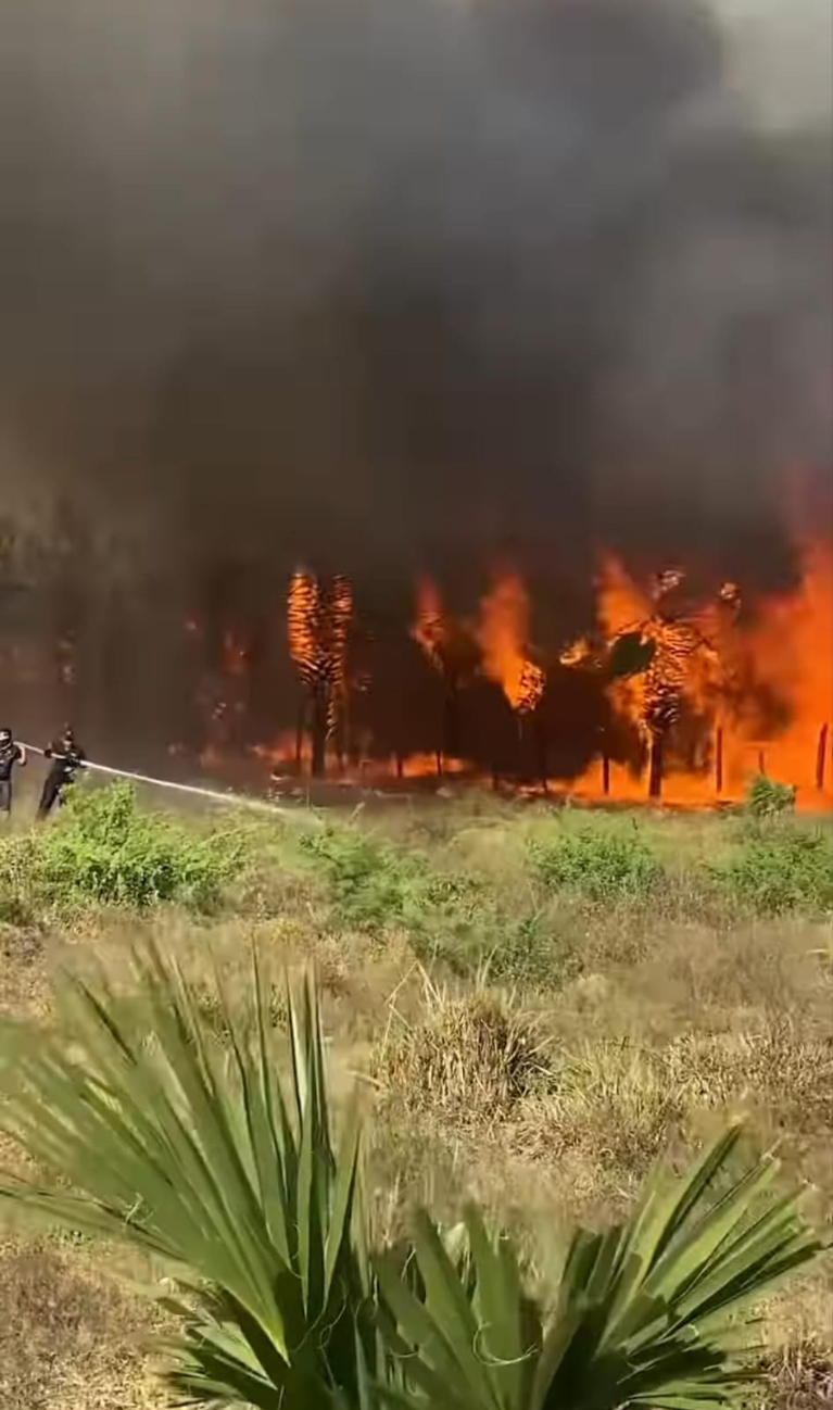 Ante el incendio, vecinos hicieron lo que estaba en sus manos para evitar que el fuego llegue a una gasolinera