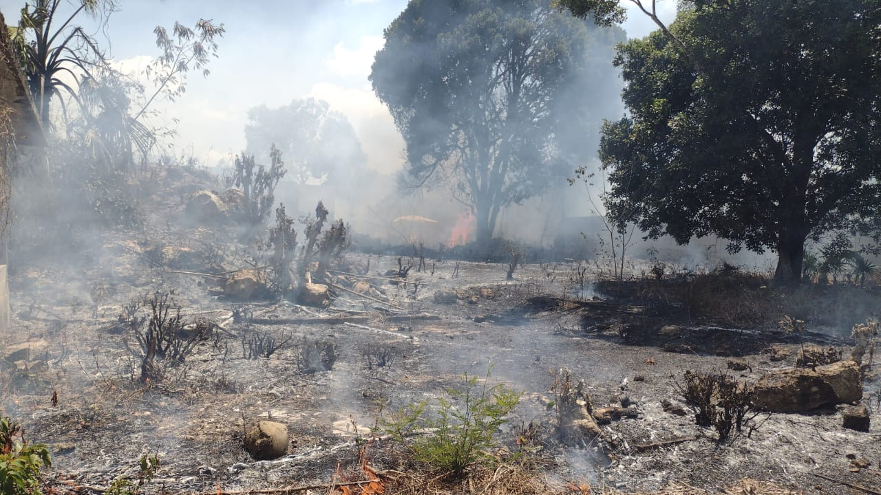 Las altas temperaturas han hecho que los incendios irrumpan la tranquilidad de los habitantes de la zona maya de Quintana Roo