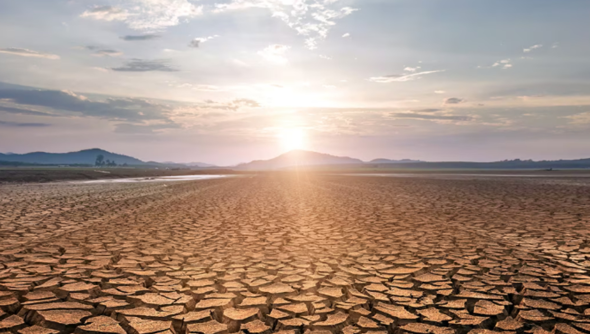 Los niveles de territorio nacional con sequía han afectado a más de mil municipios.
