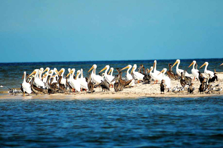 El contacto con la naturaleza es una de las experiencias de este municipio