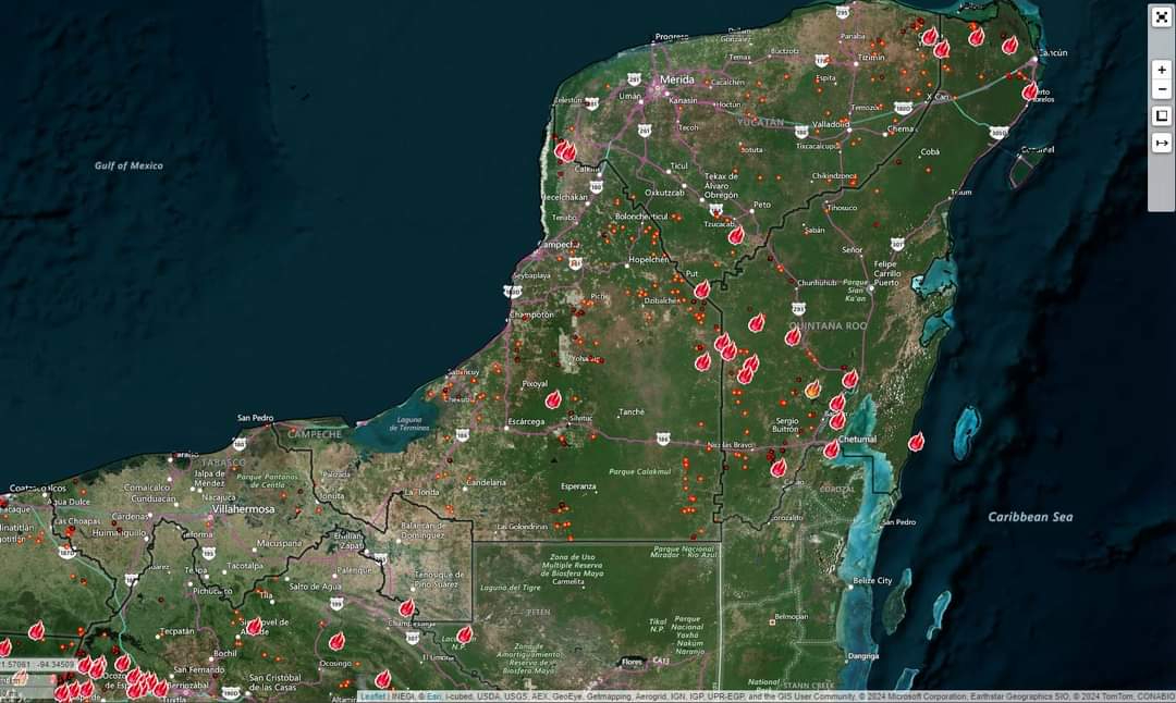 Incendios han afectado más de 3 mil hectáreas