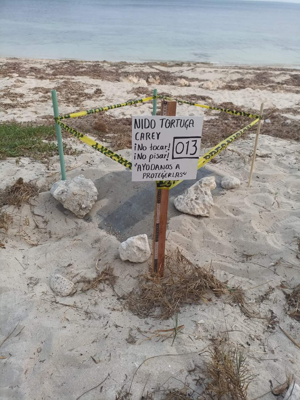 Las playas de Campeche están preparadas