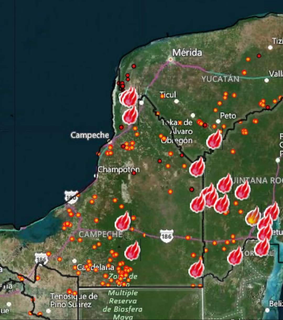 El incendio forestal de Xnohá en Hopelchén ya fue liquidado