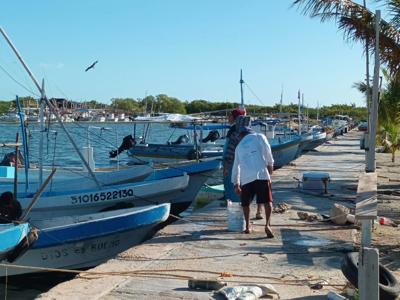 Pescadores de Yucatán paralizan la temporada de mero