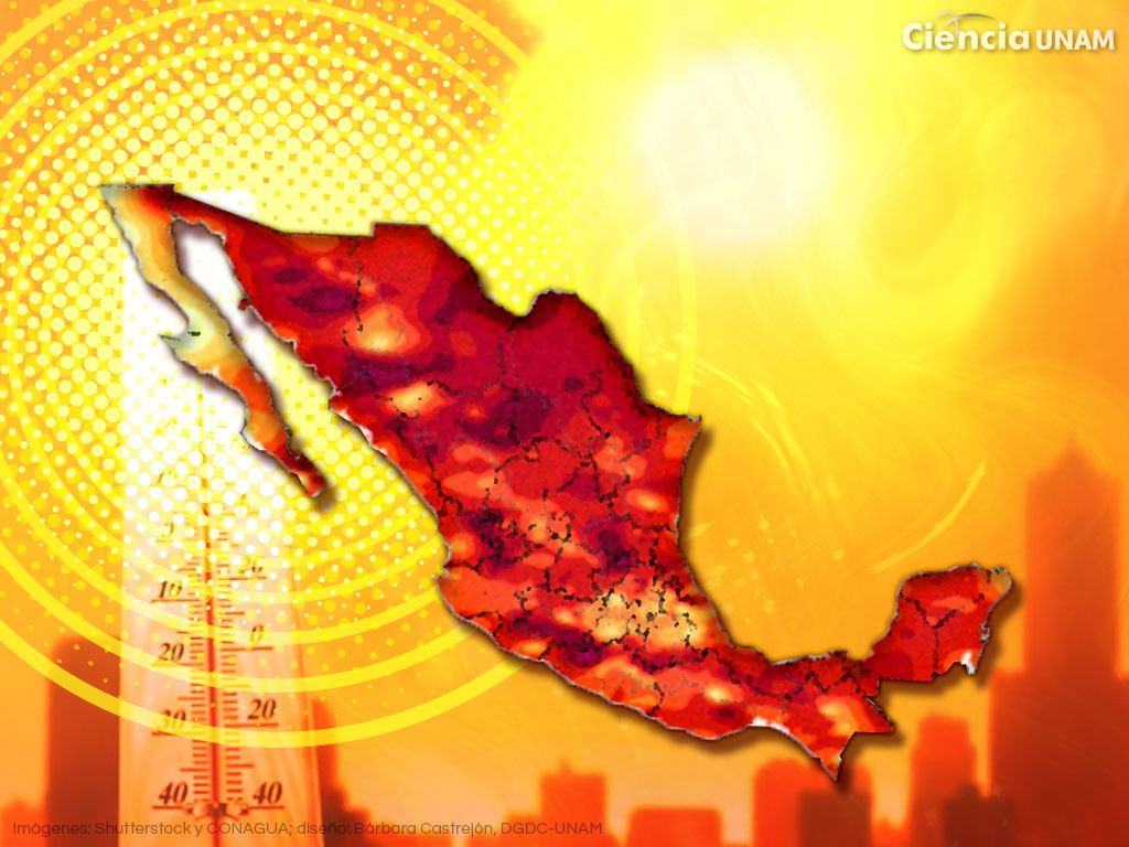 México acumula 48 muertes por altas temperaturas  