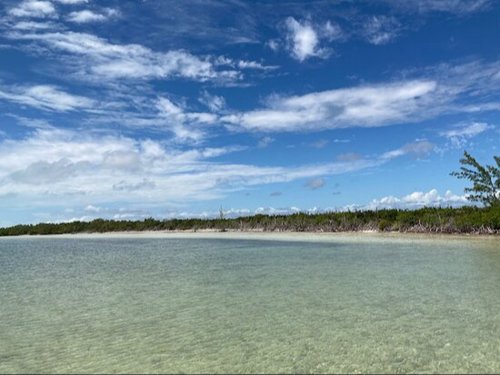 La Bahía de la Ascensión es un destino popular para el buceo y el snorkel