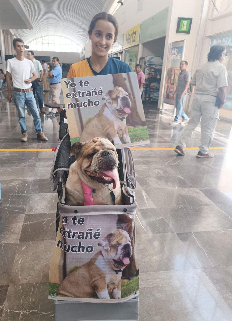 Perrita recibe a su dueña en el aeropuerto de Campeche