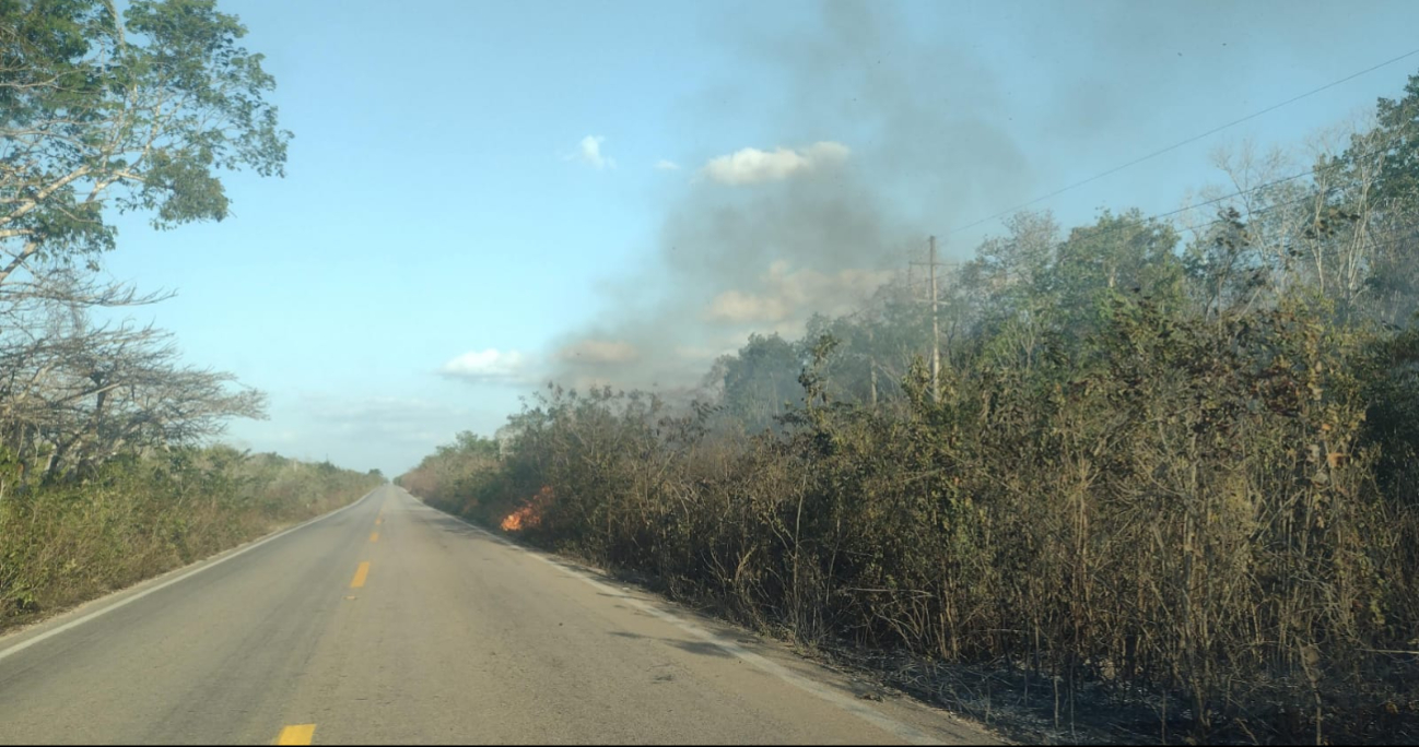 Incendios forestales causan apagones en la zona maya de Quintana Roo