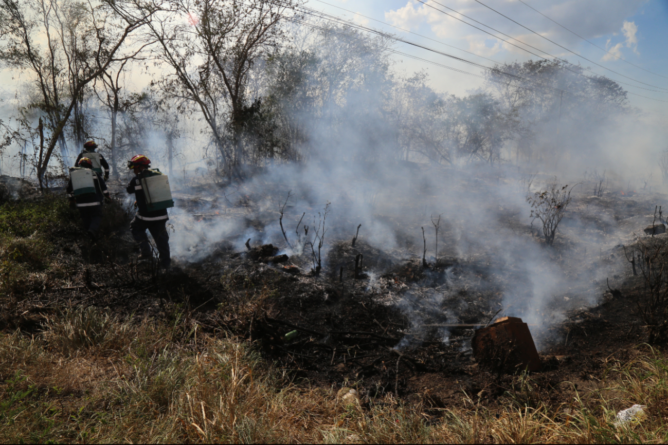 Yucatán registra dos mil incendios en tres meses de la temporada 2024