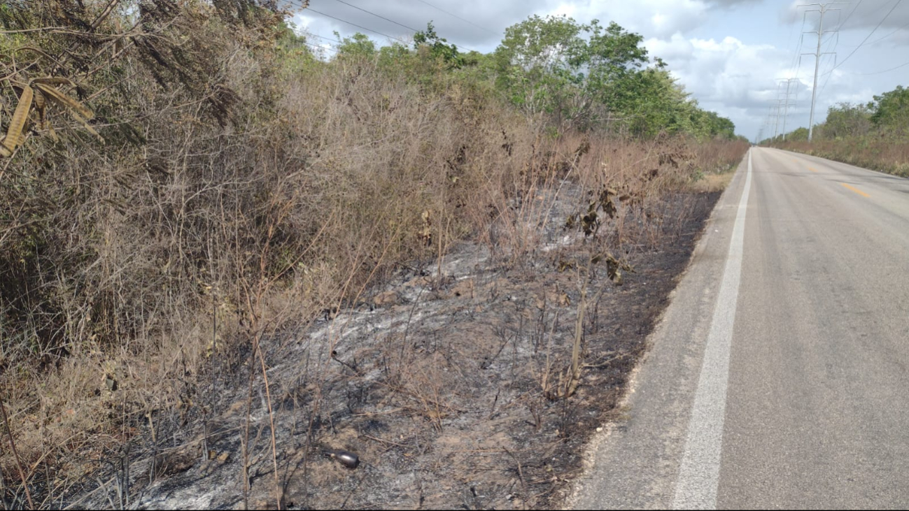 Varios incendios se han registrado en zonas forestales de Quintana Roo