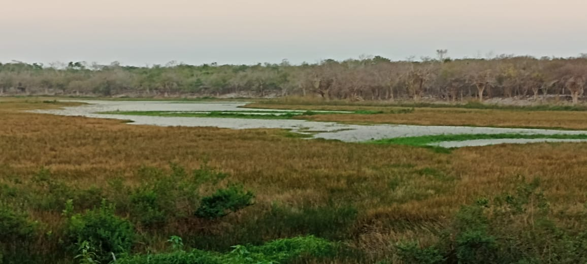 Aunque parece agua, se trata de espacios de arena, prueba de que ahí había agua