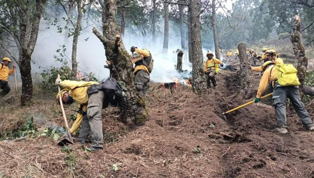 En Campeche, se han registrado 25 incendios forestales en lo que va del 2024