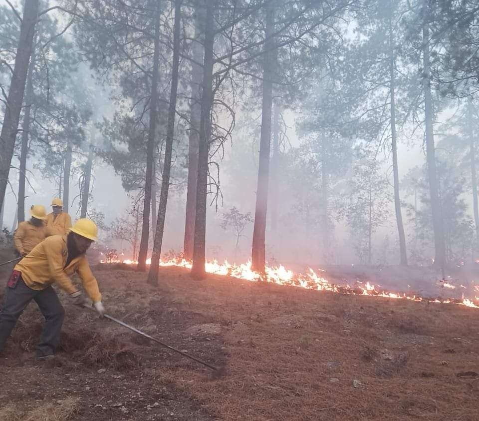 Tenemos cuatro incendios forestales activos: Semabicce