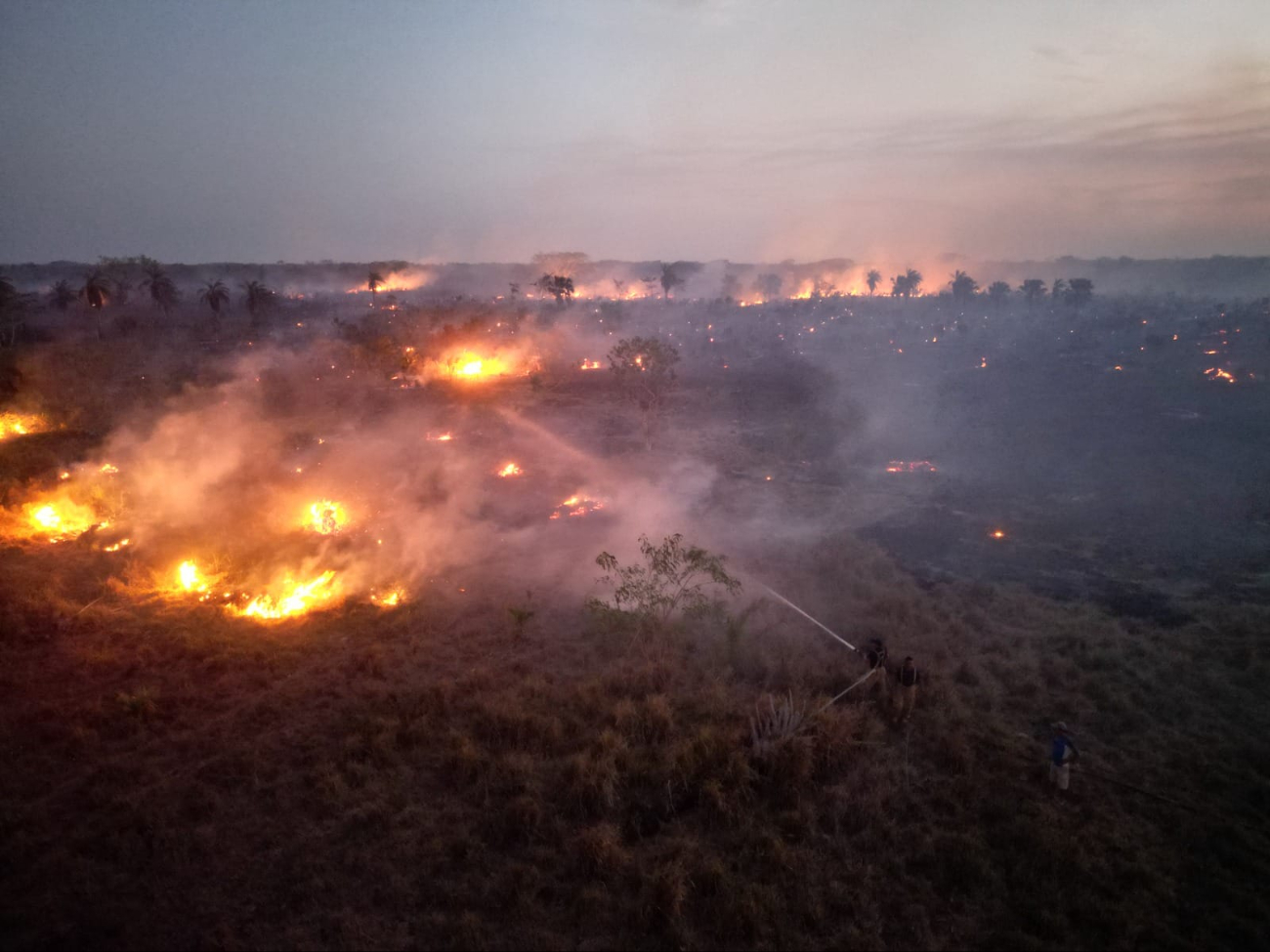 Detectan seis incendios forestales activos en Lázaro Cárdenas