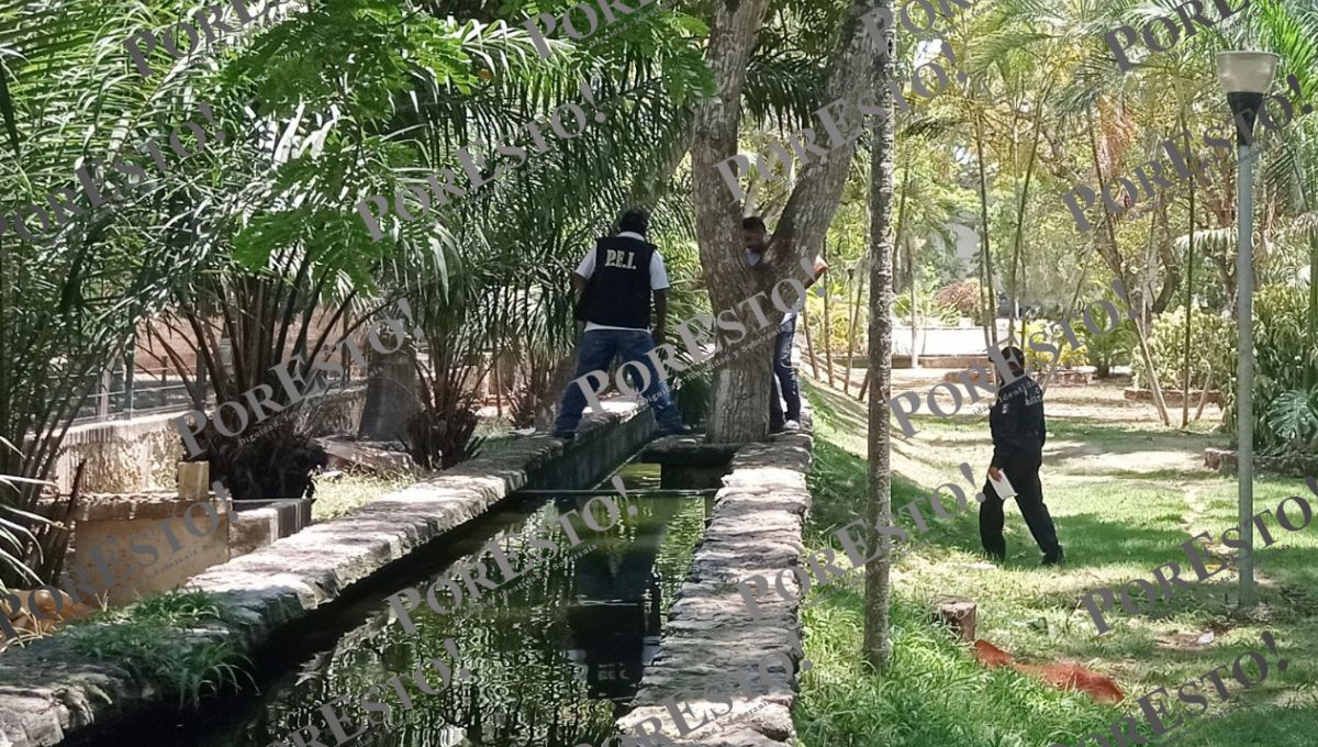 Agentes policiacos abordaron el área de tilapias en el Parque La Reina