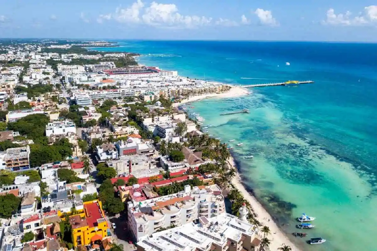 Rescatan el ‘último pulmón verde’ de Playa del Carmen tras el fraude de Derimaya 