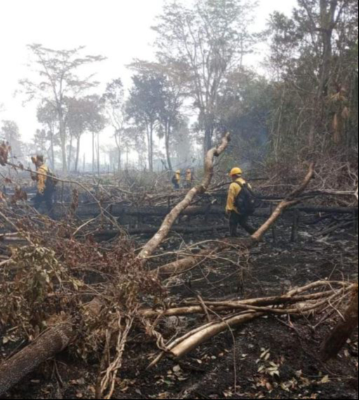 Luego de meses de combate contra incendios Semabicce reporta que todos han sido liquidados