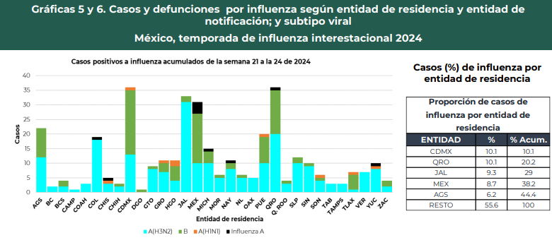Esta es la gráfica actualizada de la influenza interestacional en México