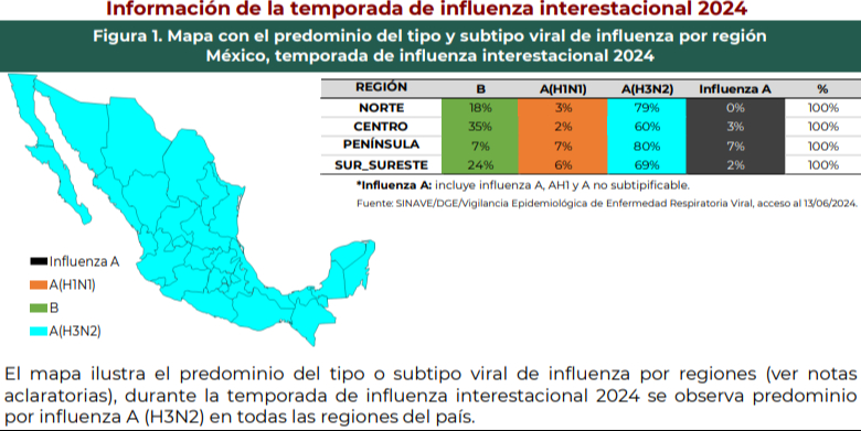 ¿Qué tipo de influenza predomina en Yucatán?