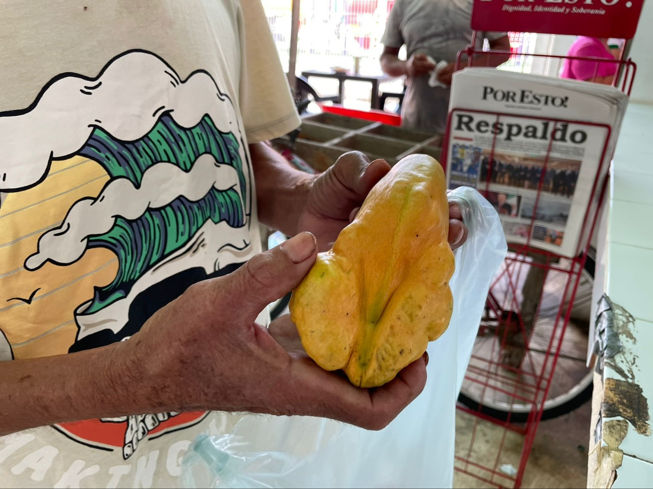 El poblador Manuel Gamboa cultivó un extraño vegetal con forma de mango y chayote