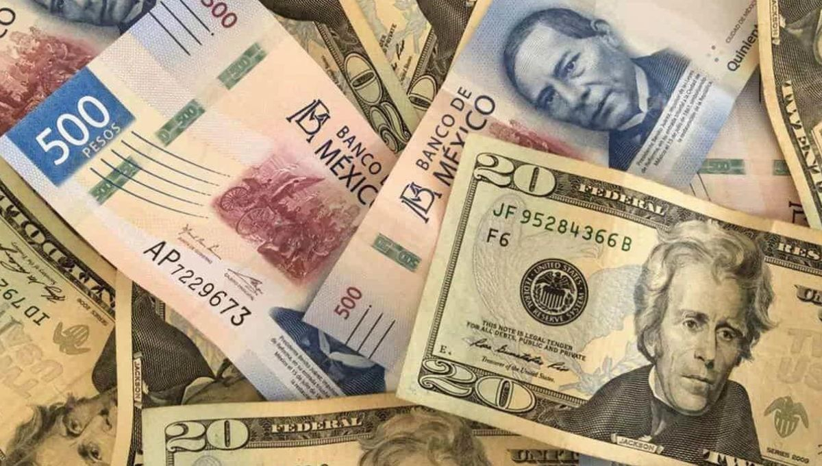 Precio del dólar hoy lunes 24 de junio en México: Sigue en tiempo real el tipo de cambio