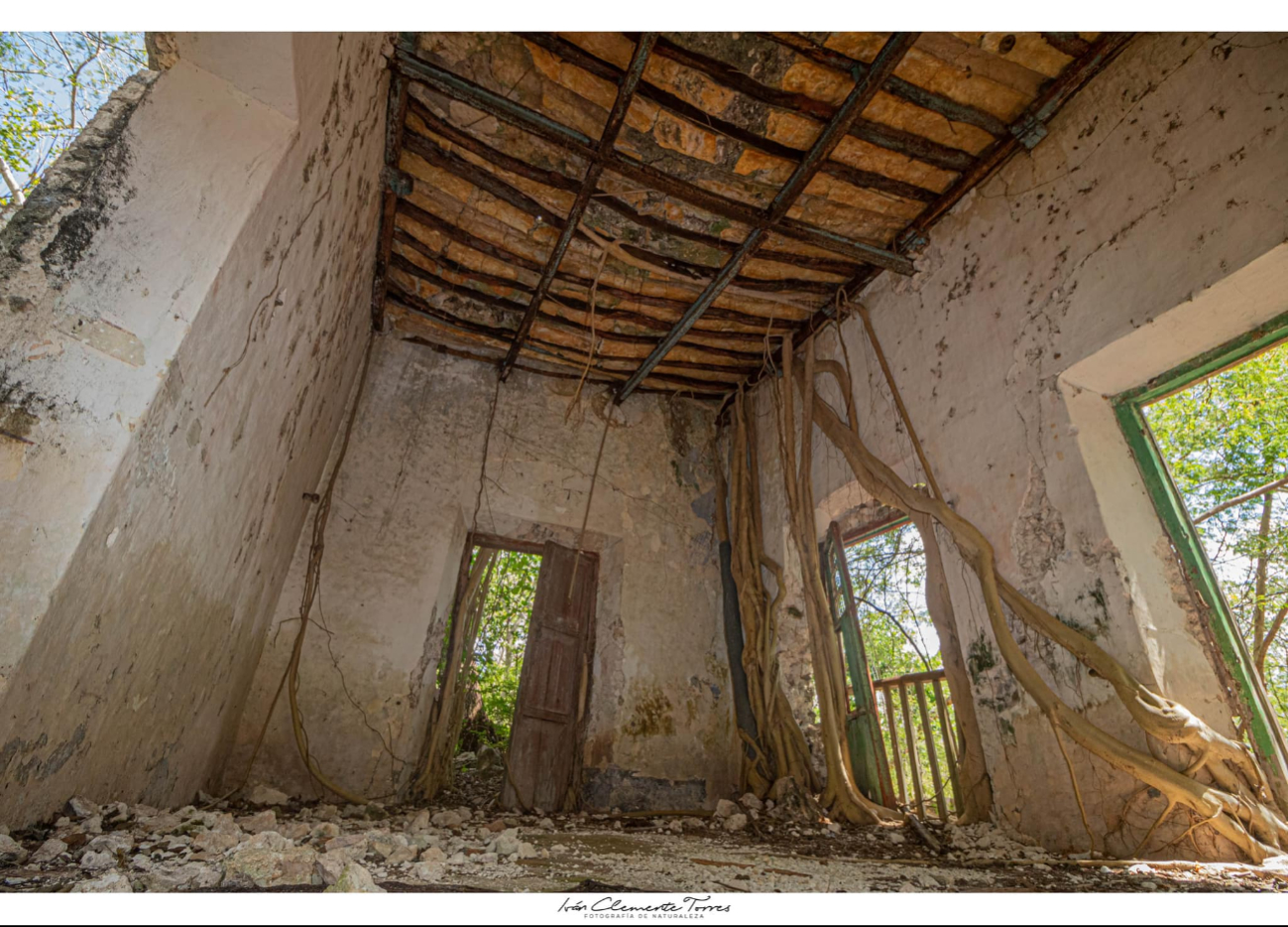 Los techos sostenidos por vigas de madera se están derrumbando