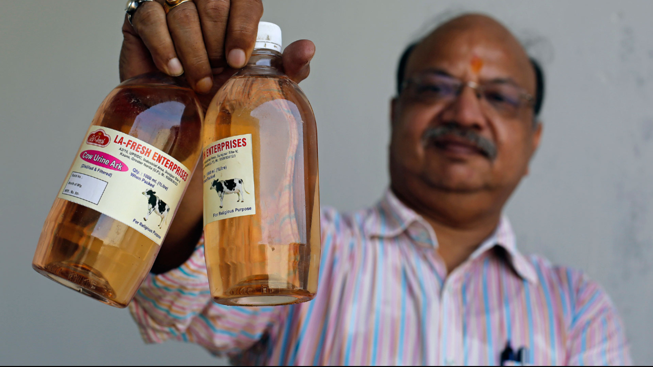 En India venden orina de vaca embotellada como producto medicinal