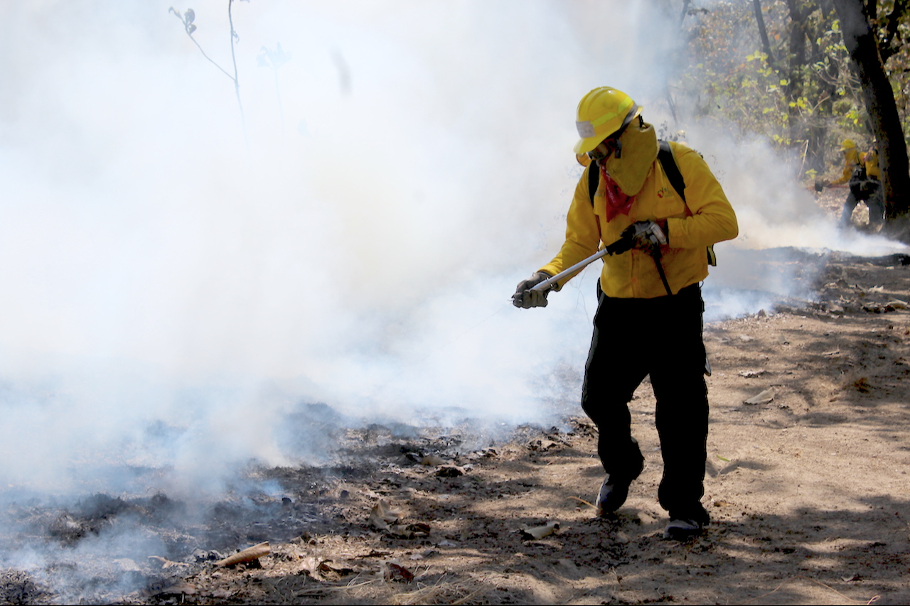 Uno de los incendios registrados es en Mancolona en el municipio de Calakmul,