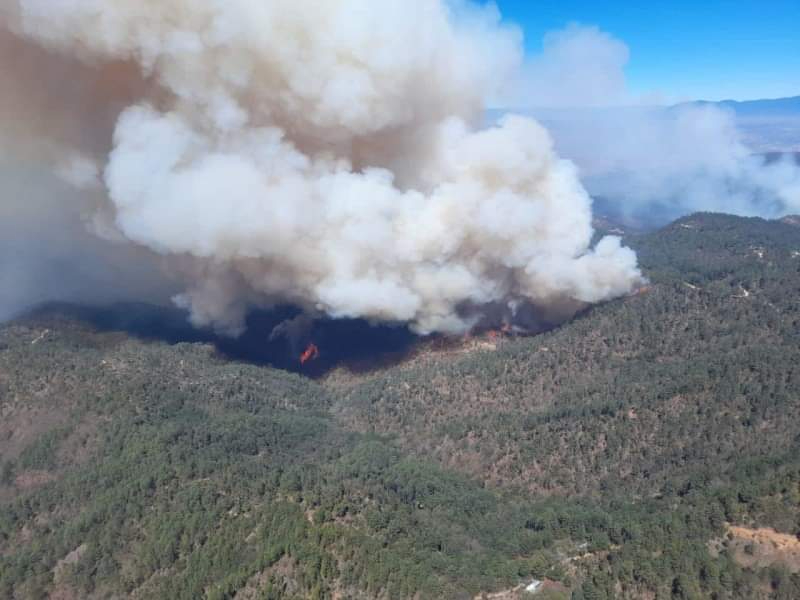 Hay tres incendios forestales activos en Campeche