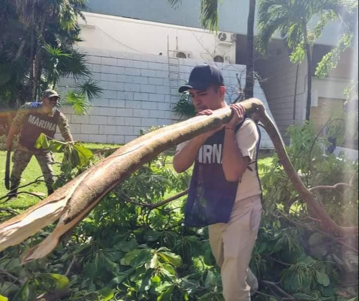 Menos de un año había transcurrido desde último operativo de limpieza en la zona