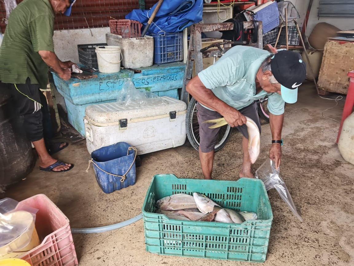 Navegantes se han concentrado en la captura de escama