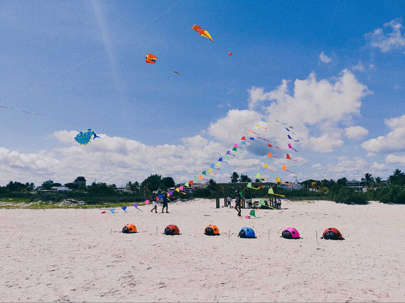 El festival del papagayo será para todas las edades