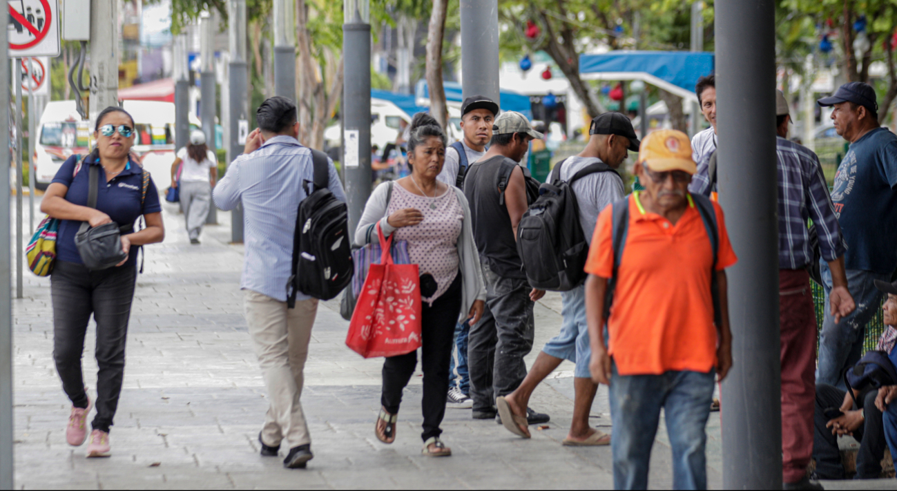 a mayor concentración se registra en Solidaridad y Tulum.