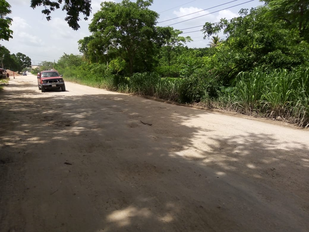 Así lucen algunas calles de Candelaria, en Campeche