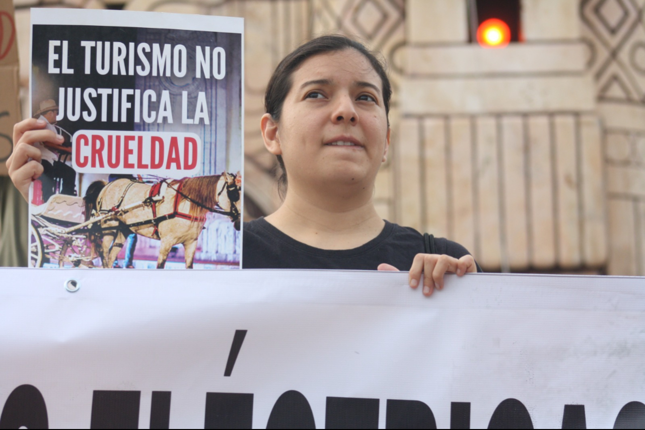 Activistas se manifiestan en contra de las calesas de caballos en Mérida / Nadie Tecuapetla